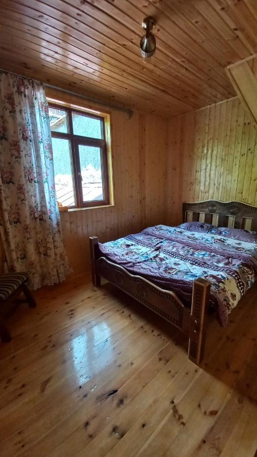 Guest House Elisabeth Adishi Buitenkant foto
